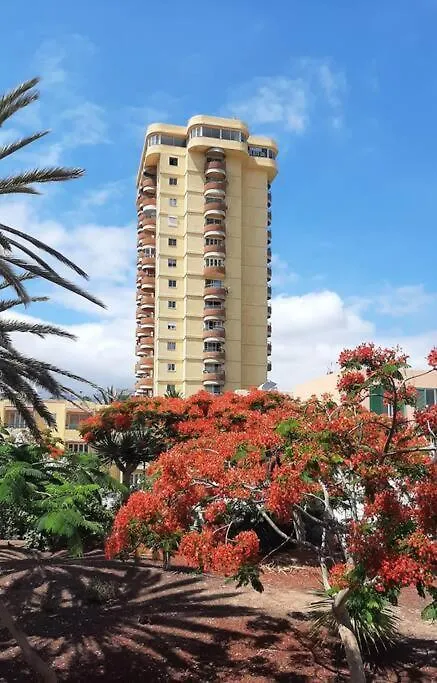 Estudio Coqueto Torres Del Sol Arona  Arona (Tenerife)